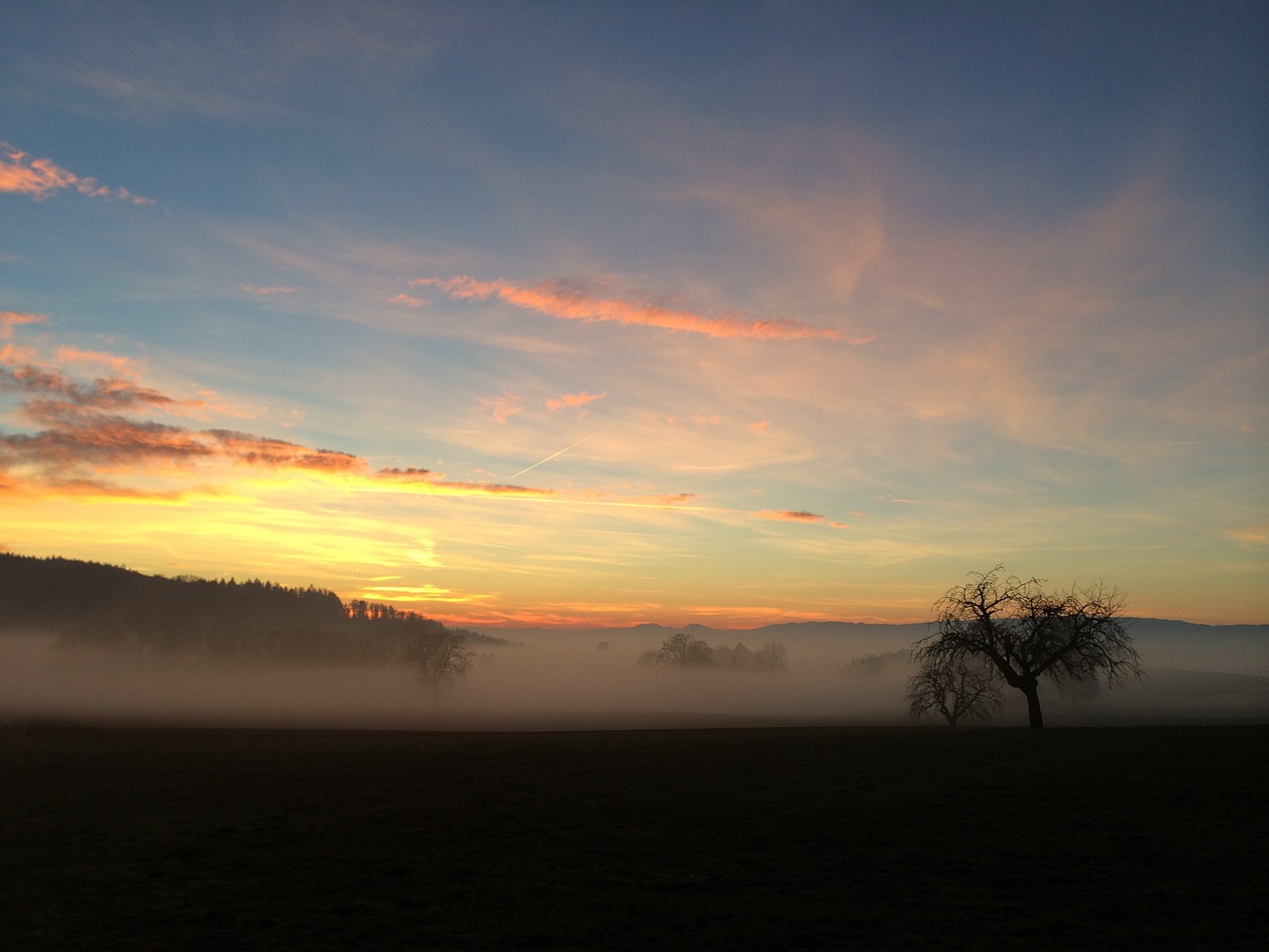 fog abendstimmung b free photo