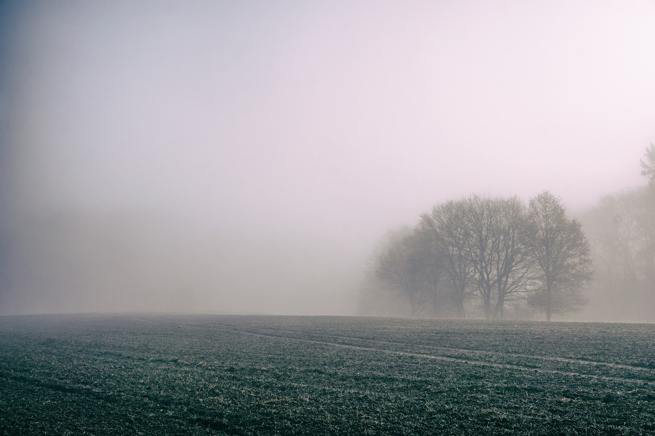 fog field countryside free photo