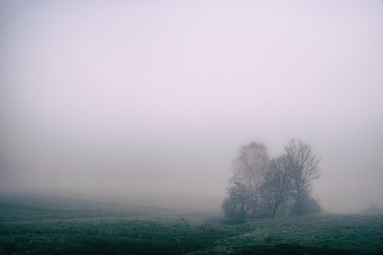 fog field countryside free photo