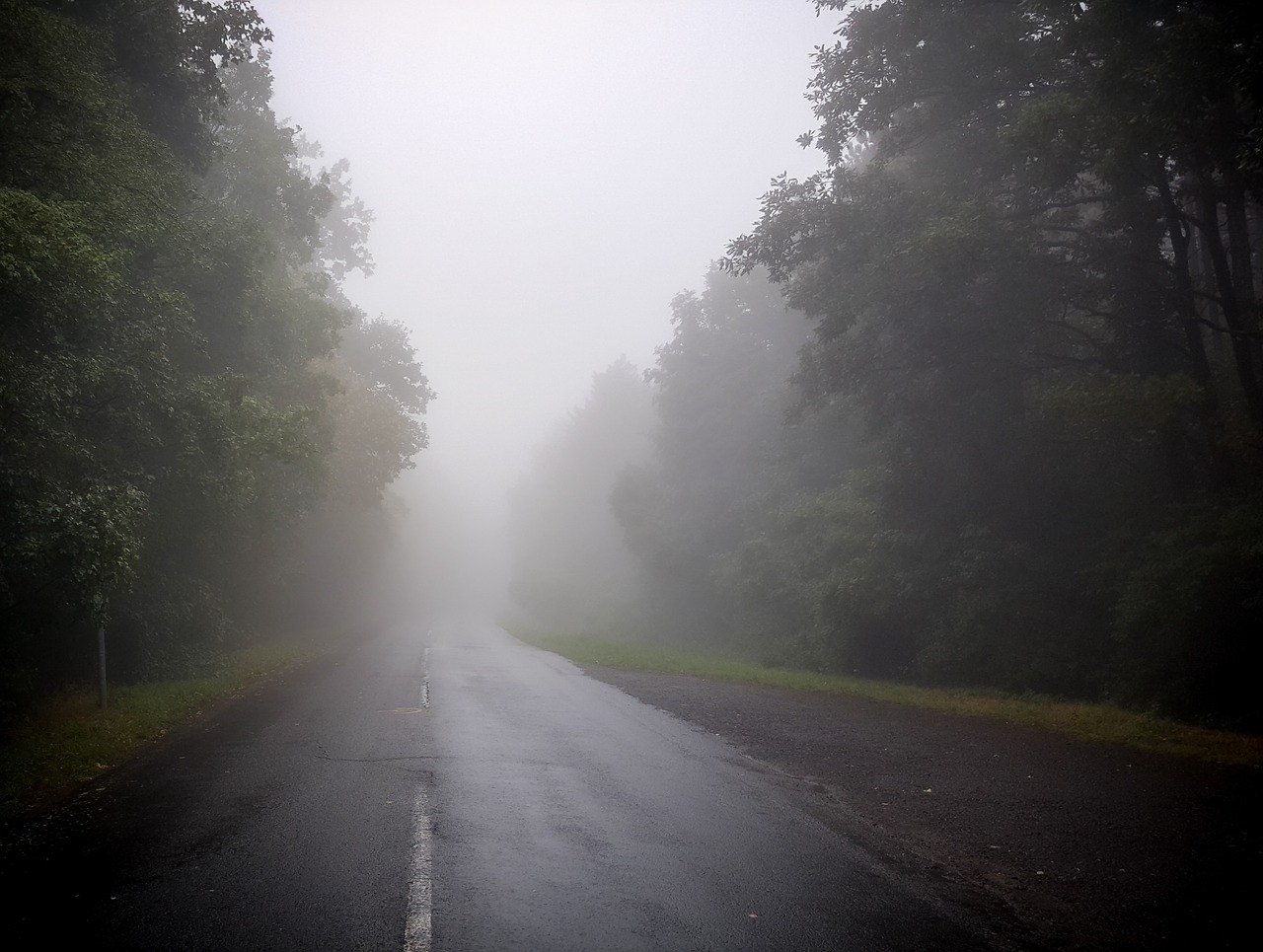 fog mountain mountain road free photo