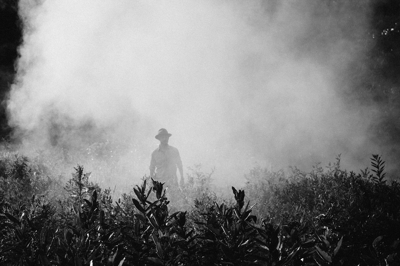fog steam person free photo