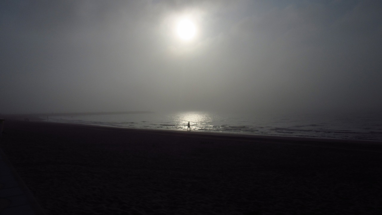 fog beach mood free photo