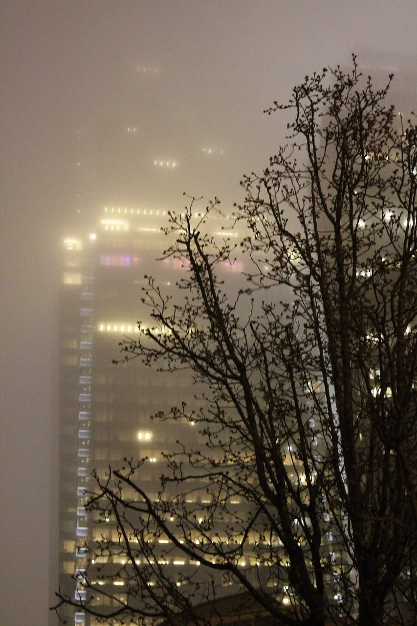 fog night architecture free photo