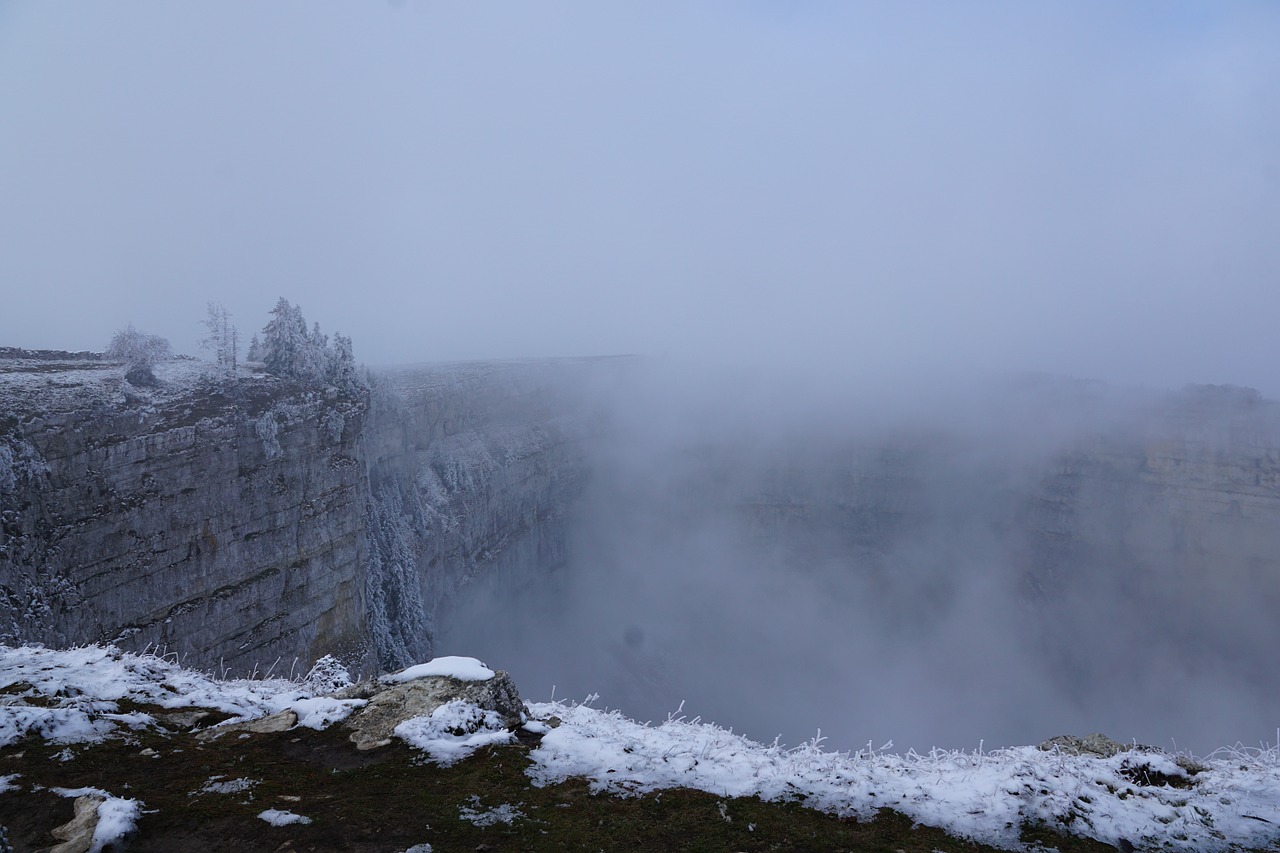 fog winter tree free photo