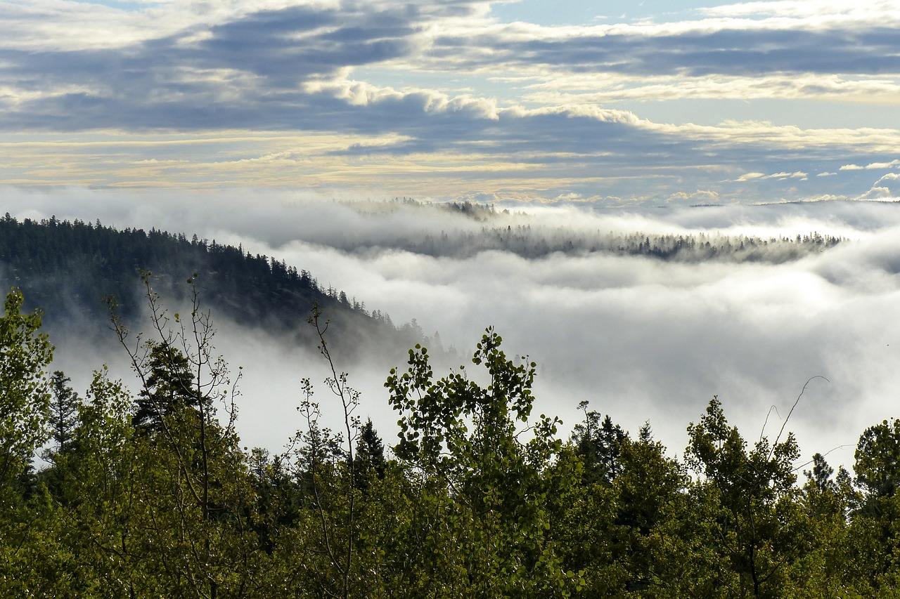 fog bank landscape clouds free photo