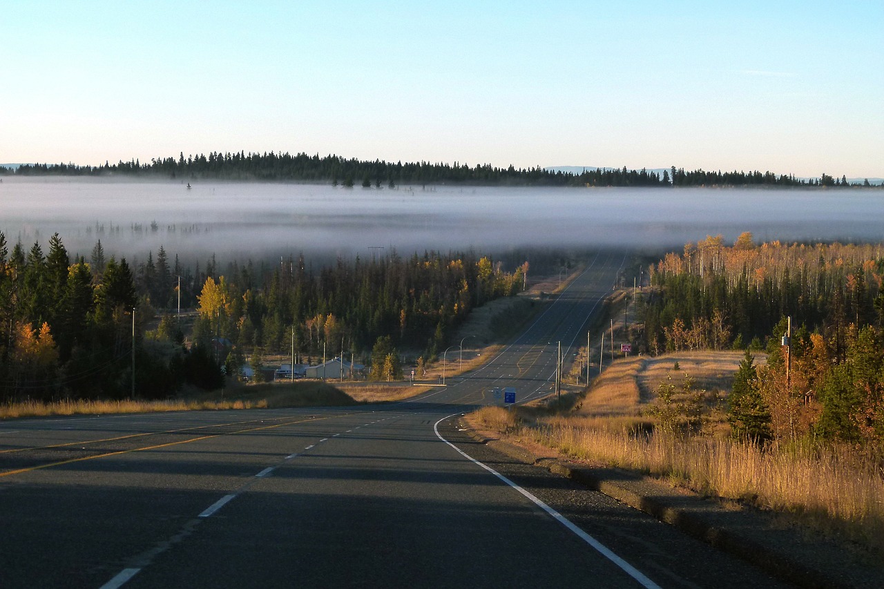 fog bank road highway free photo
