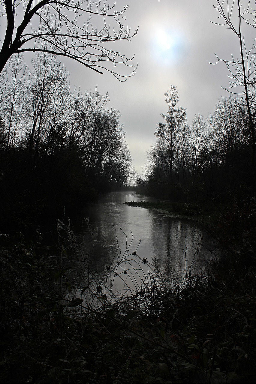 fog day creek autumn mood free photo