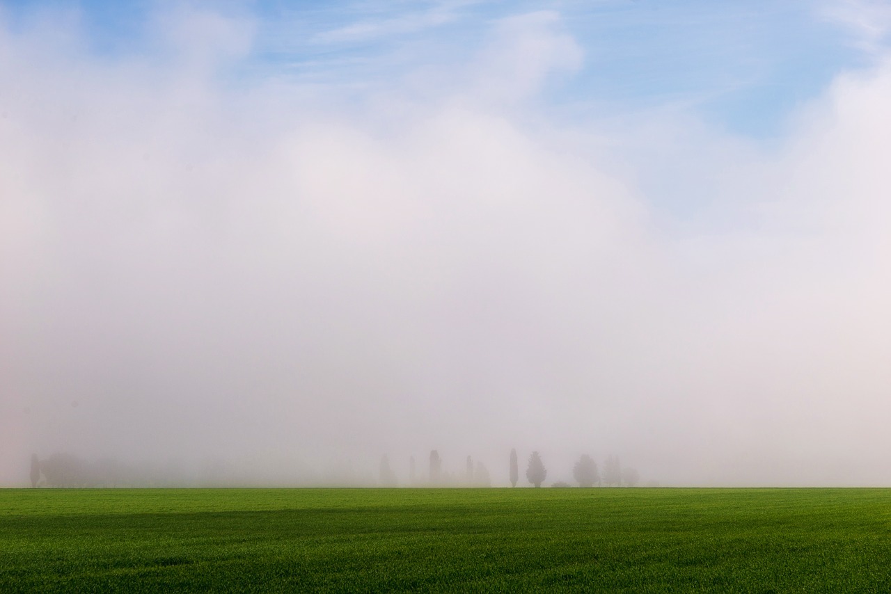 fog in the morning fog landscape free photo