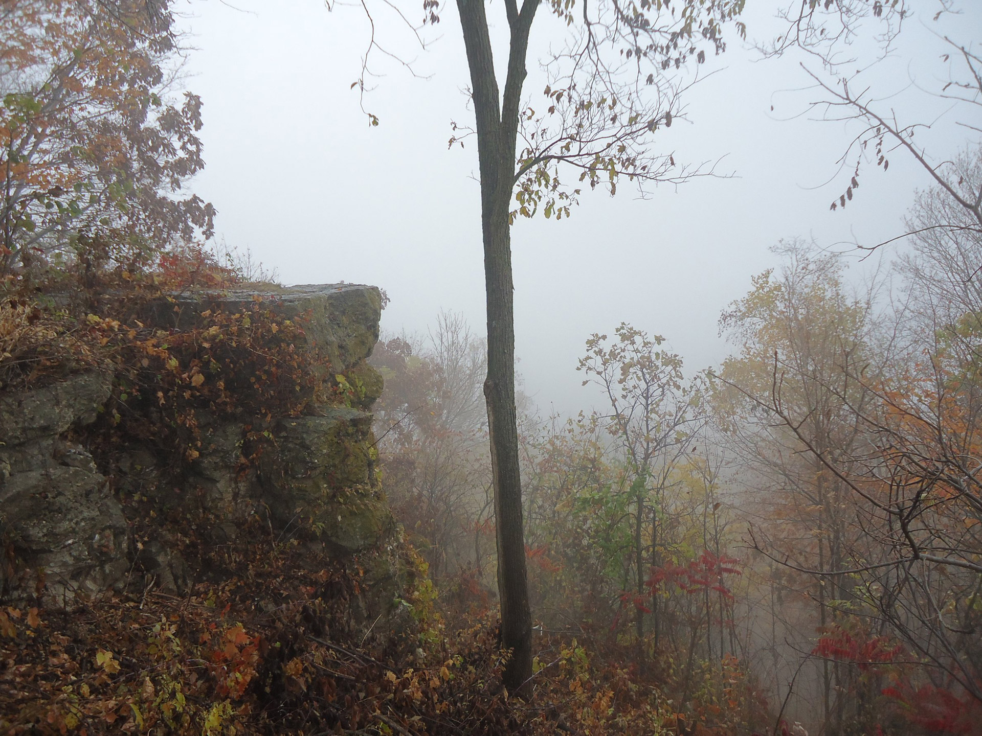 fog great river bluffs state park scenic free photo
