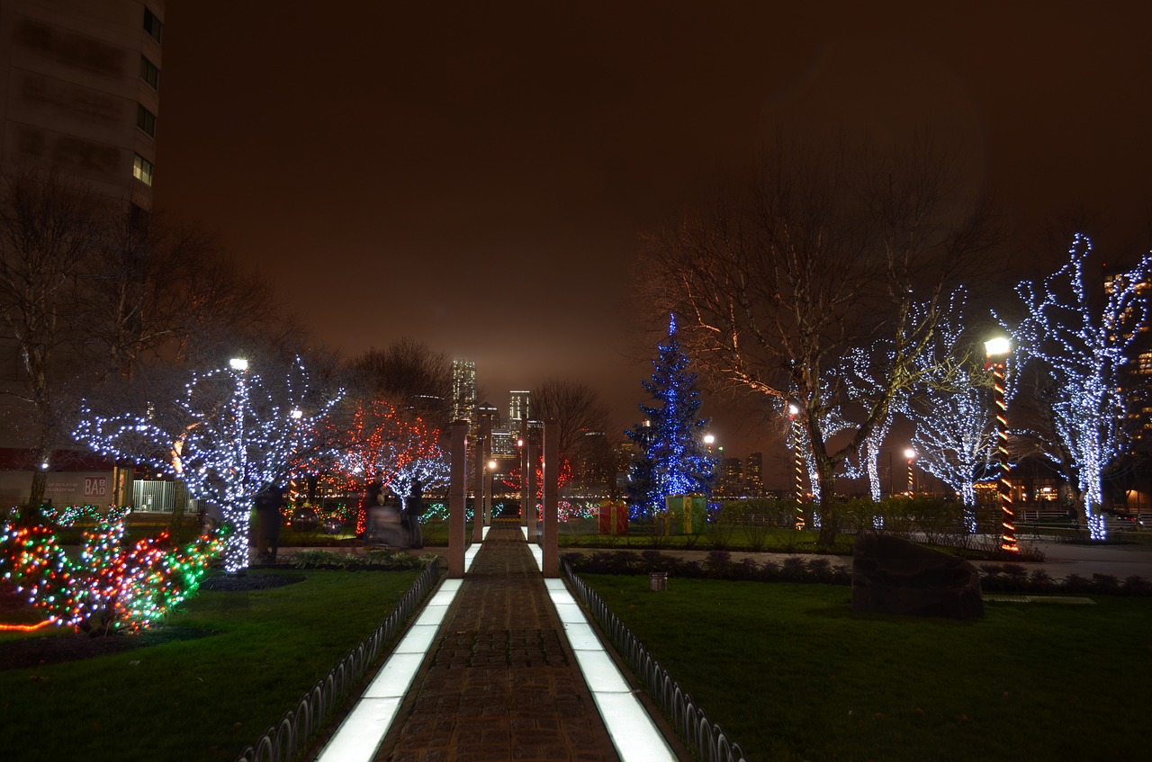 foggy mysterious christmas lights free photo