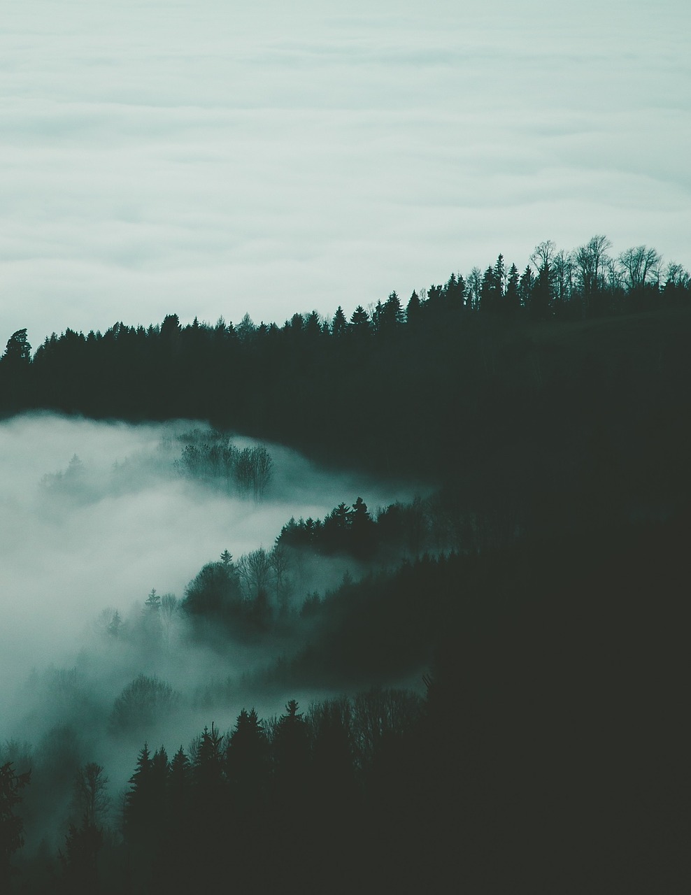 foggy mountains landscape nature free photo