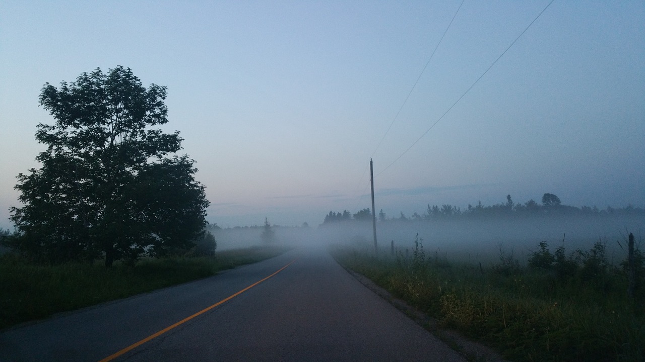 foggy road outdoor free photo