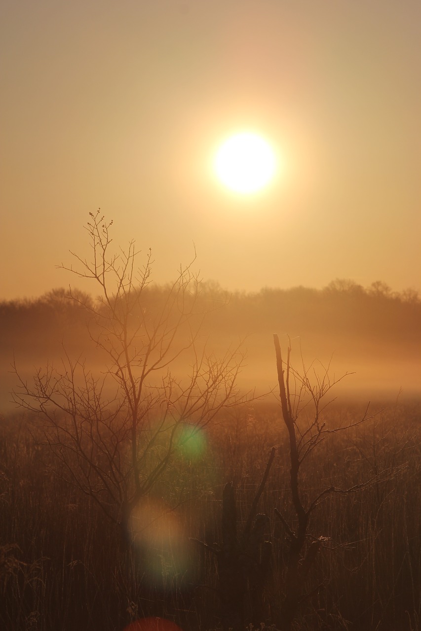 foggy morning sunrise free photo