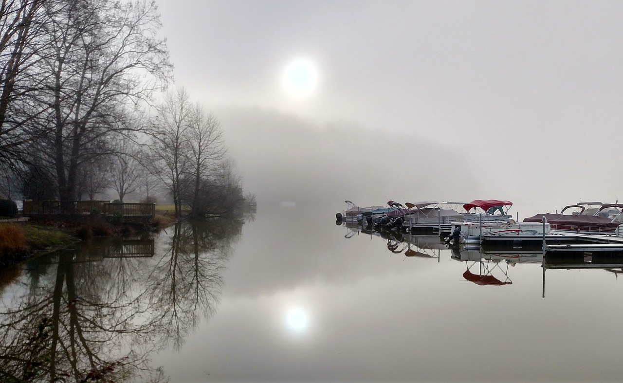 foggy lake marina free photo