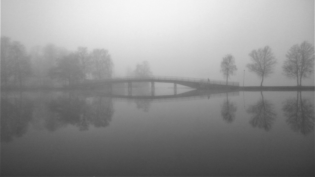 foggy mist water free photo
