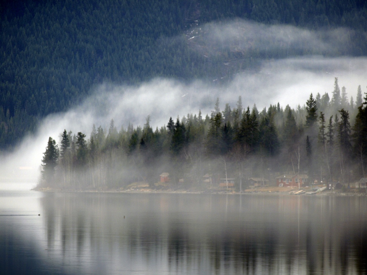 foggy canim lake resort free photo
