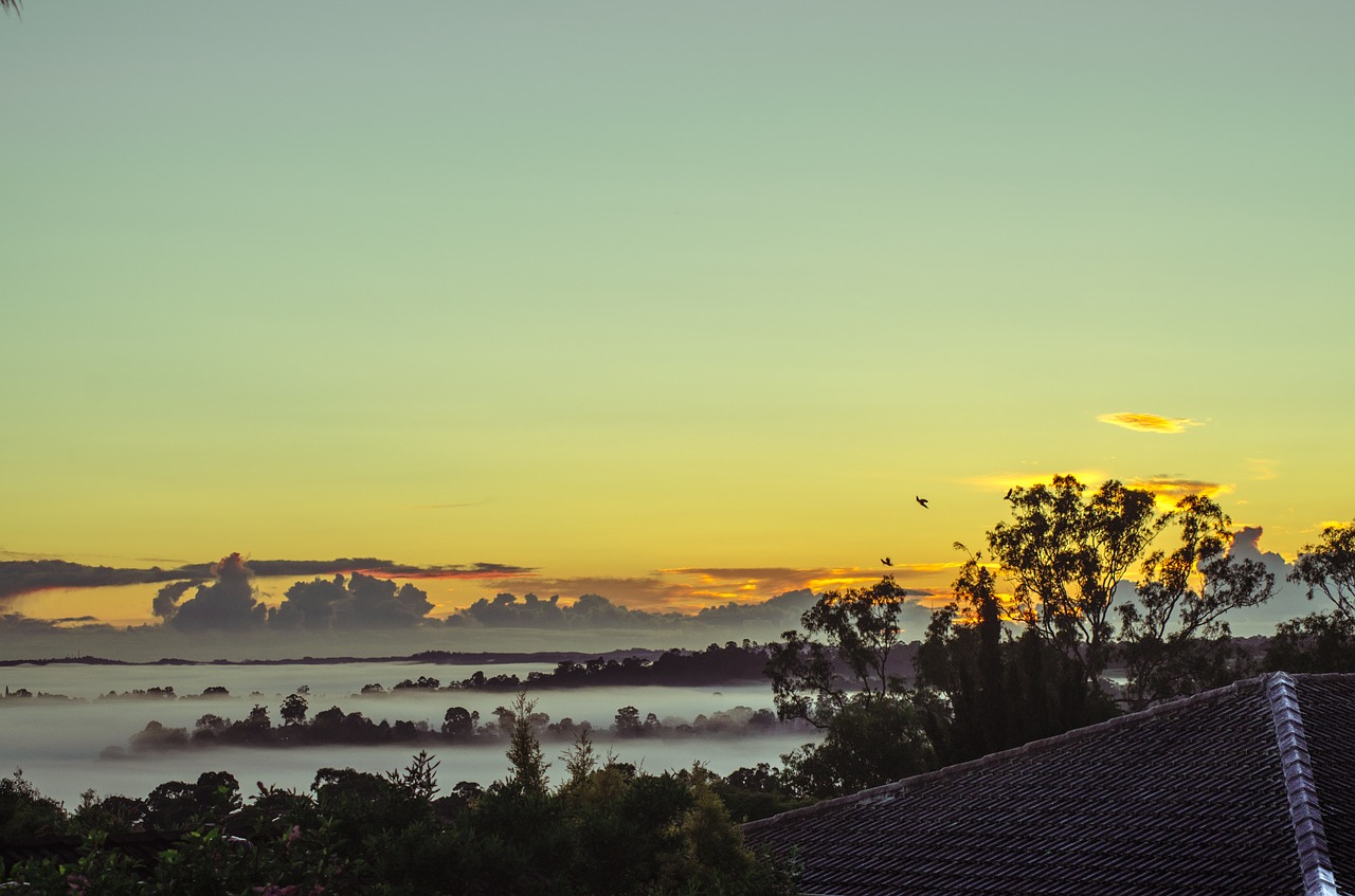 foggy roof house free photo