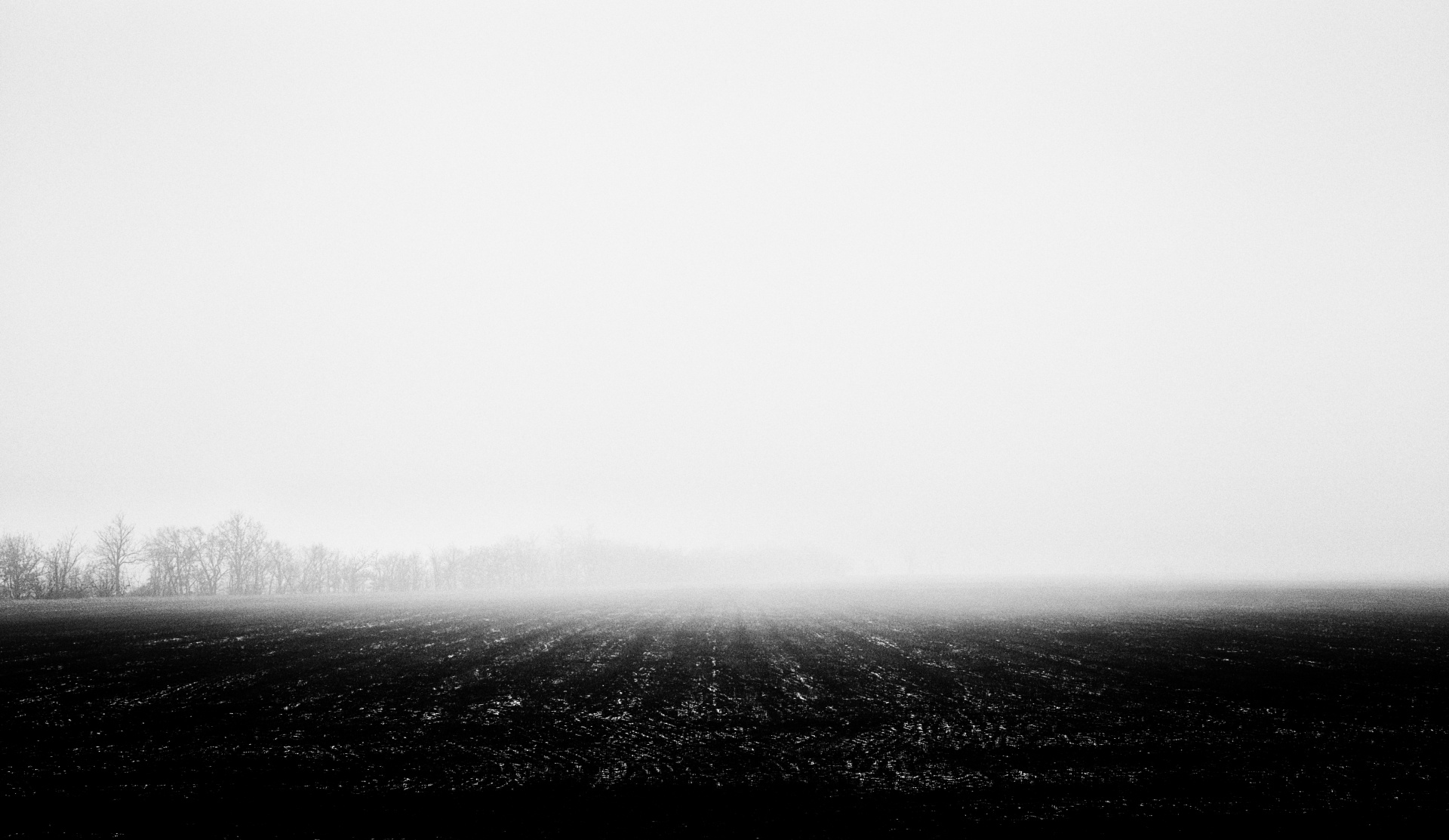 fog foggy field free photo