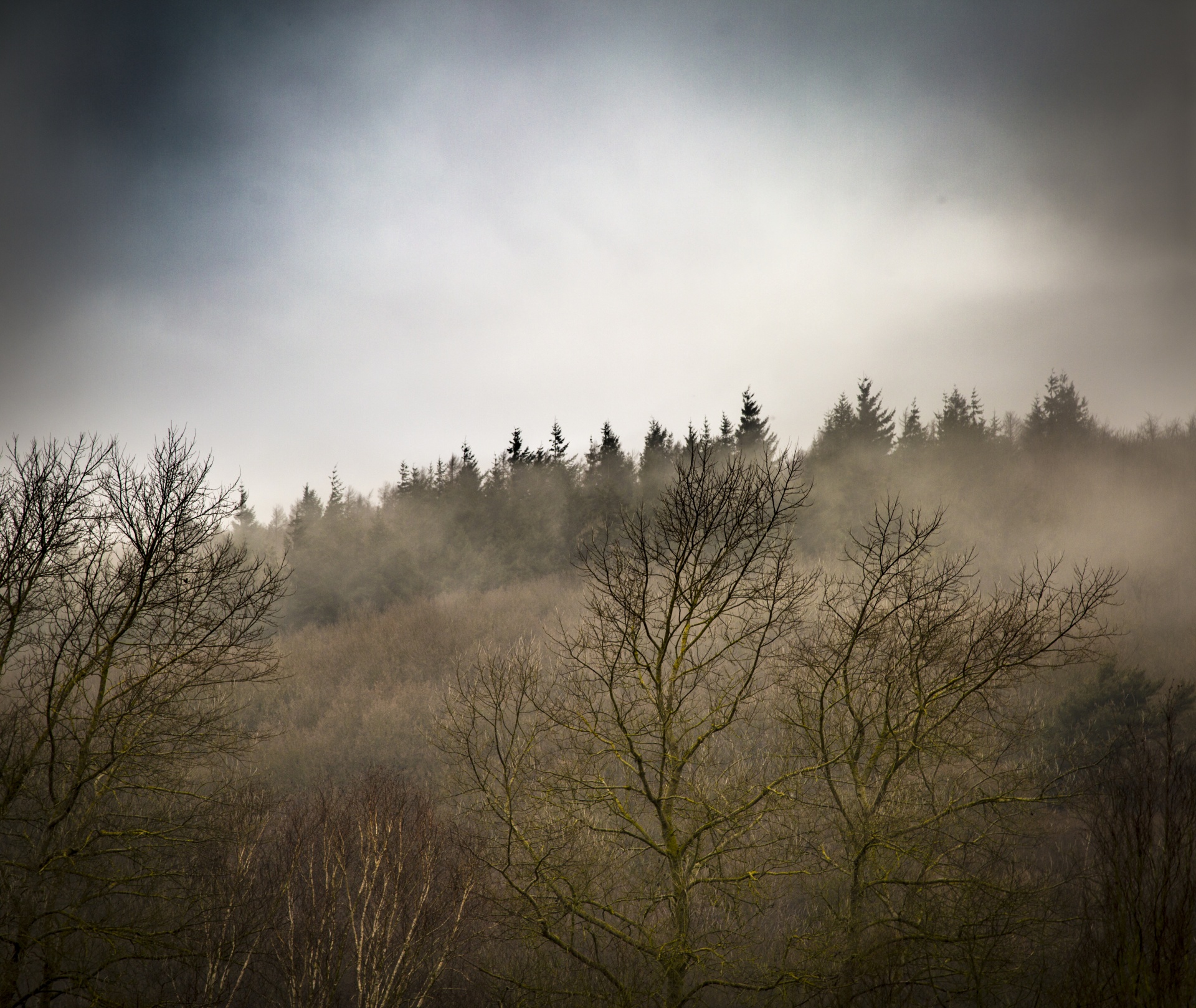 fog foggy landscape free photo