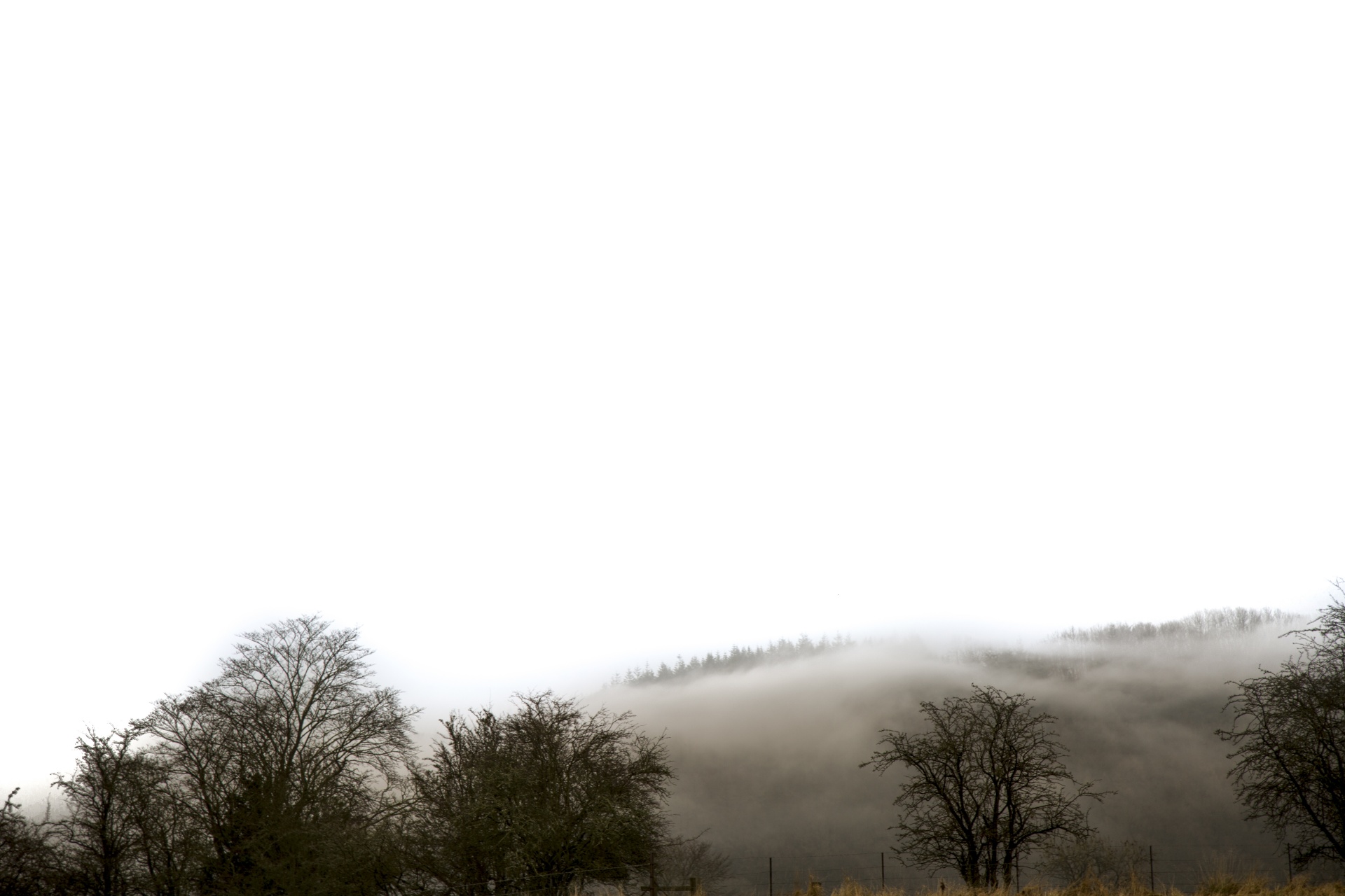 fog foggy landscape free photo
