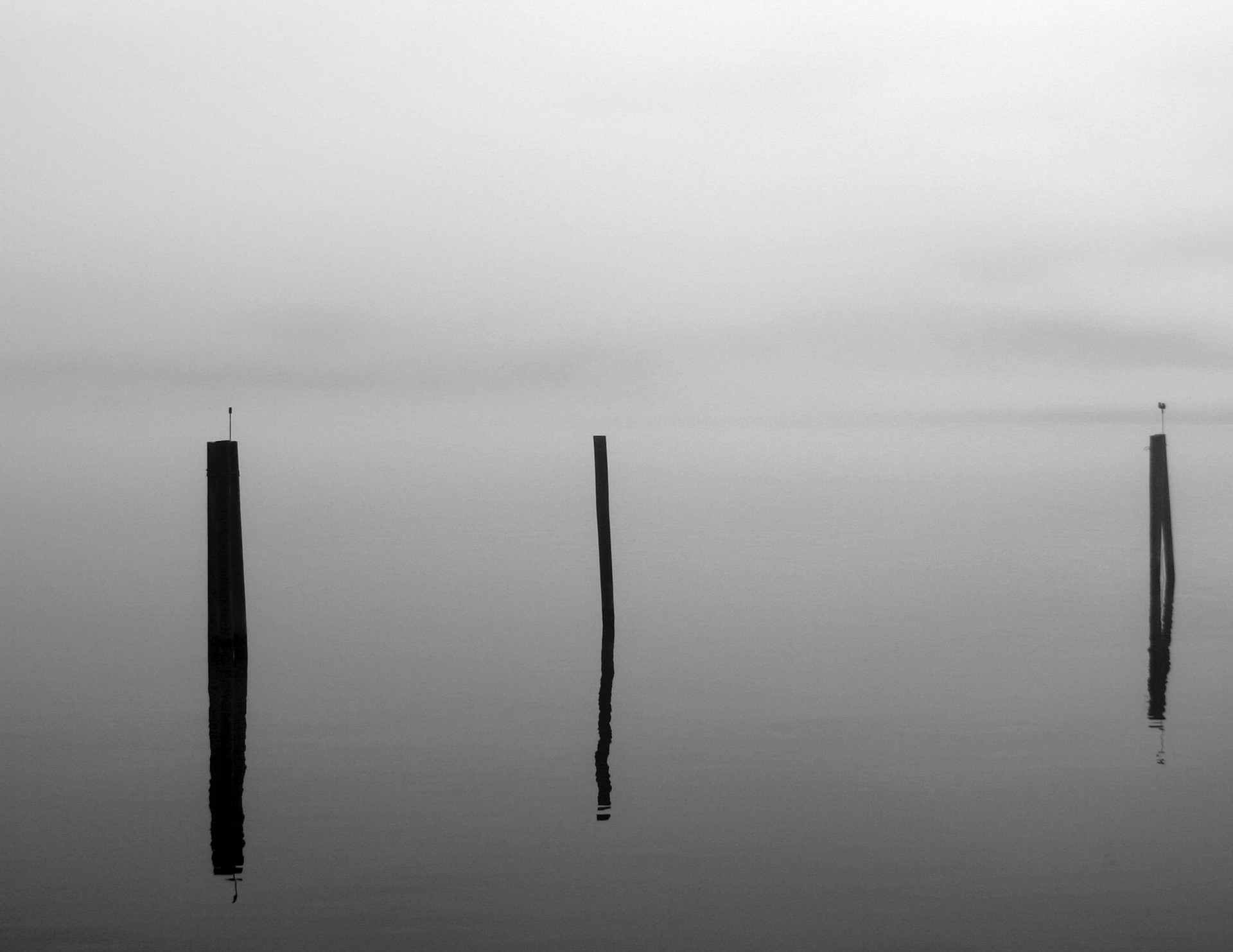 pilings river fog free photo