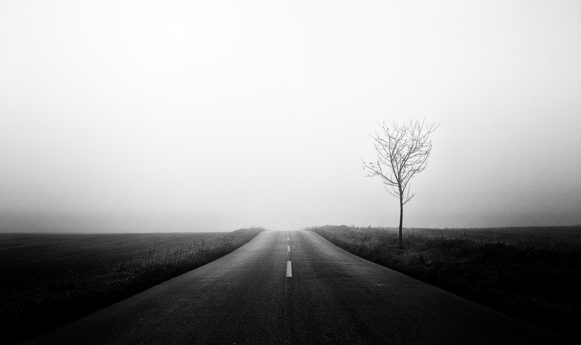 fog road black white free photo