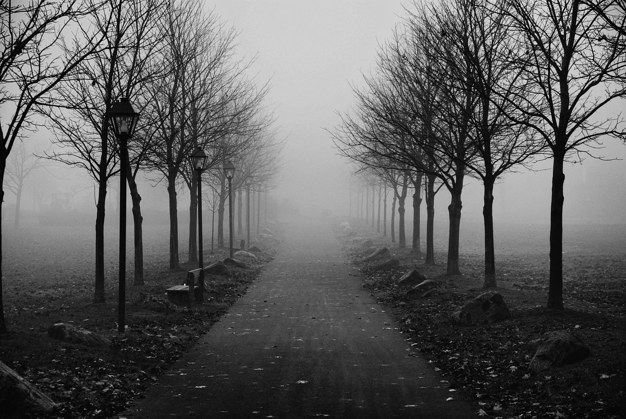 foggy sidewalk morning fog free photo