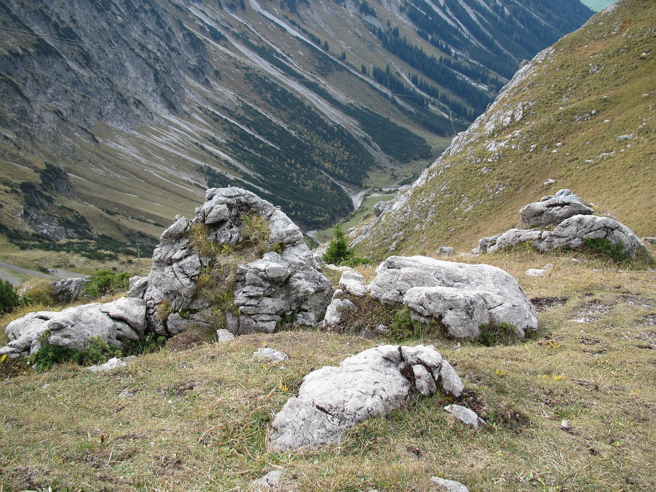 foghorn stones overgrown free photo
