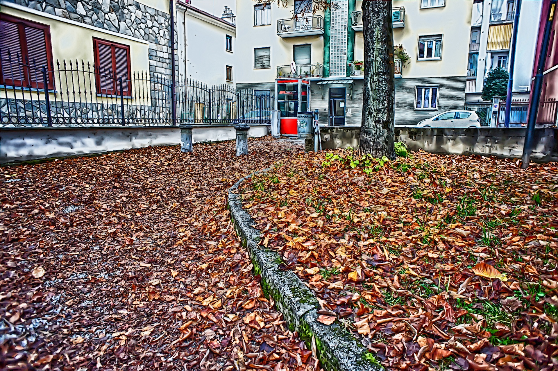 leaves yellow dry free photo