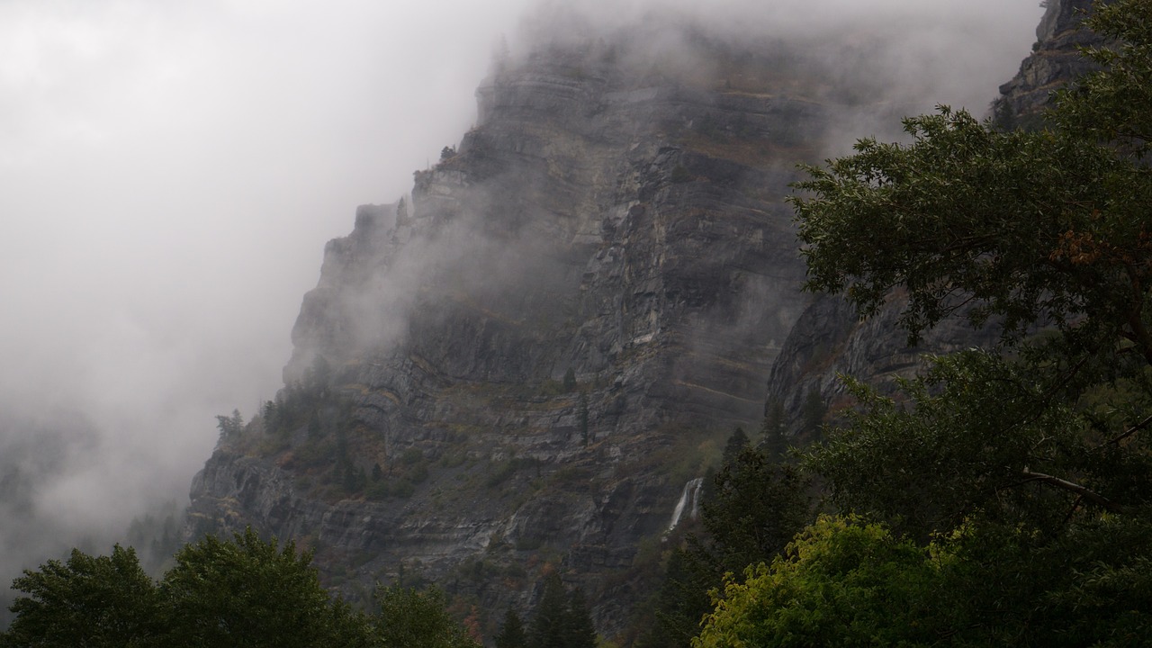 fogs cold trees free photo