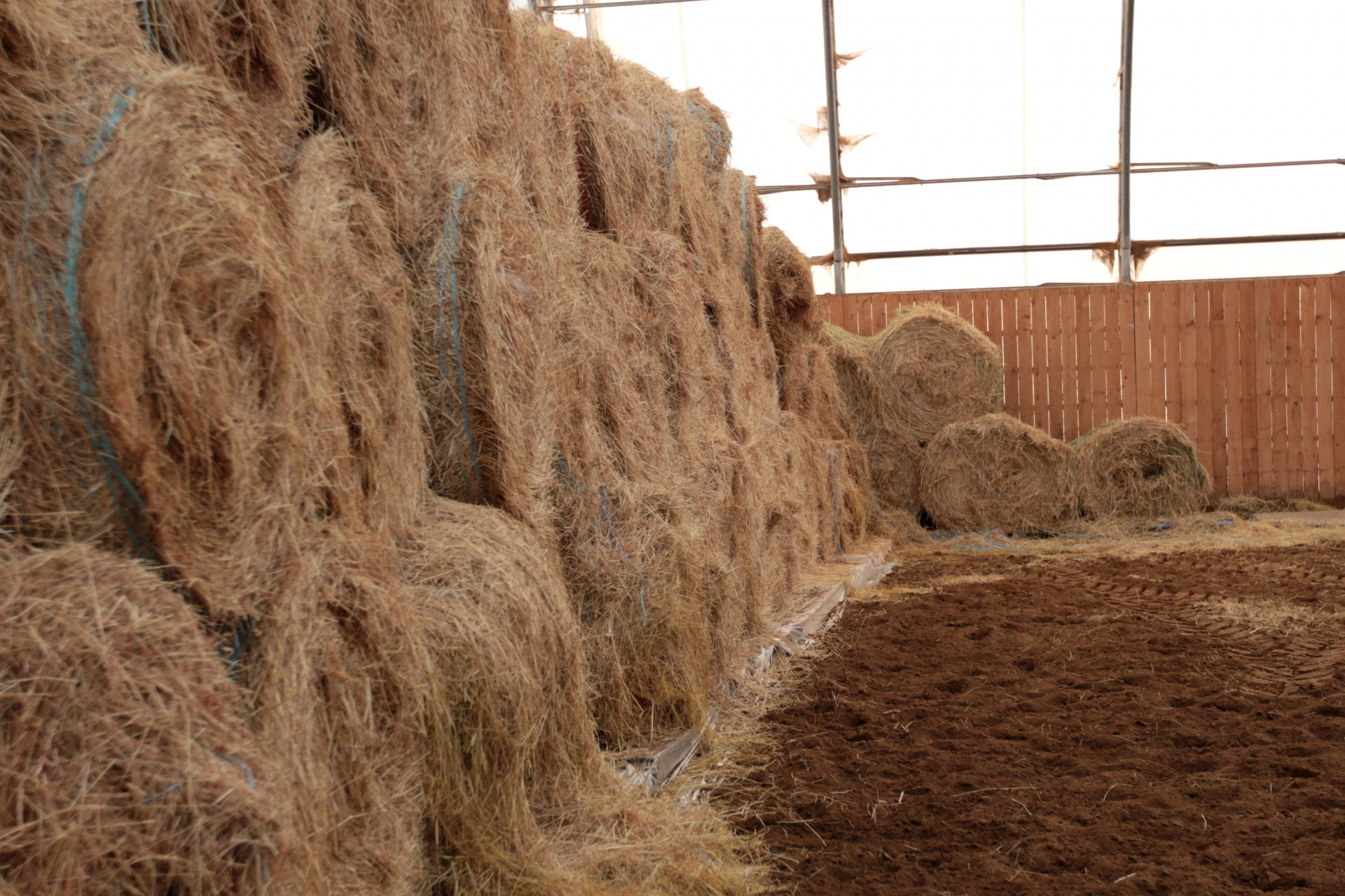 hay straw stable free photo