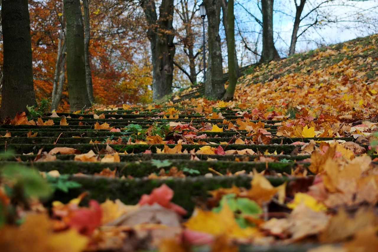 foliage autumn stairs free photo