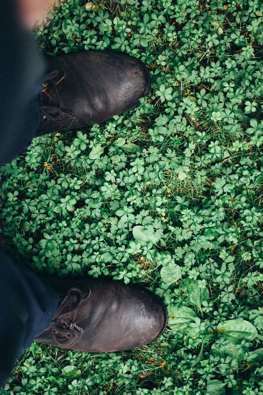 foliage footwear grass free photo