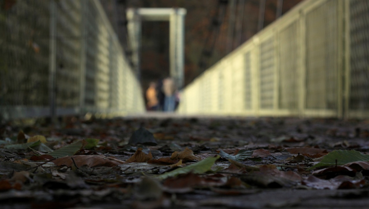 foliage  autumn  footbridge free photo