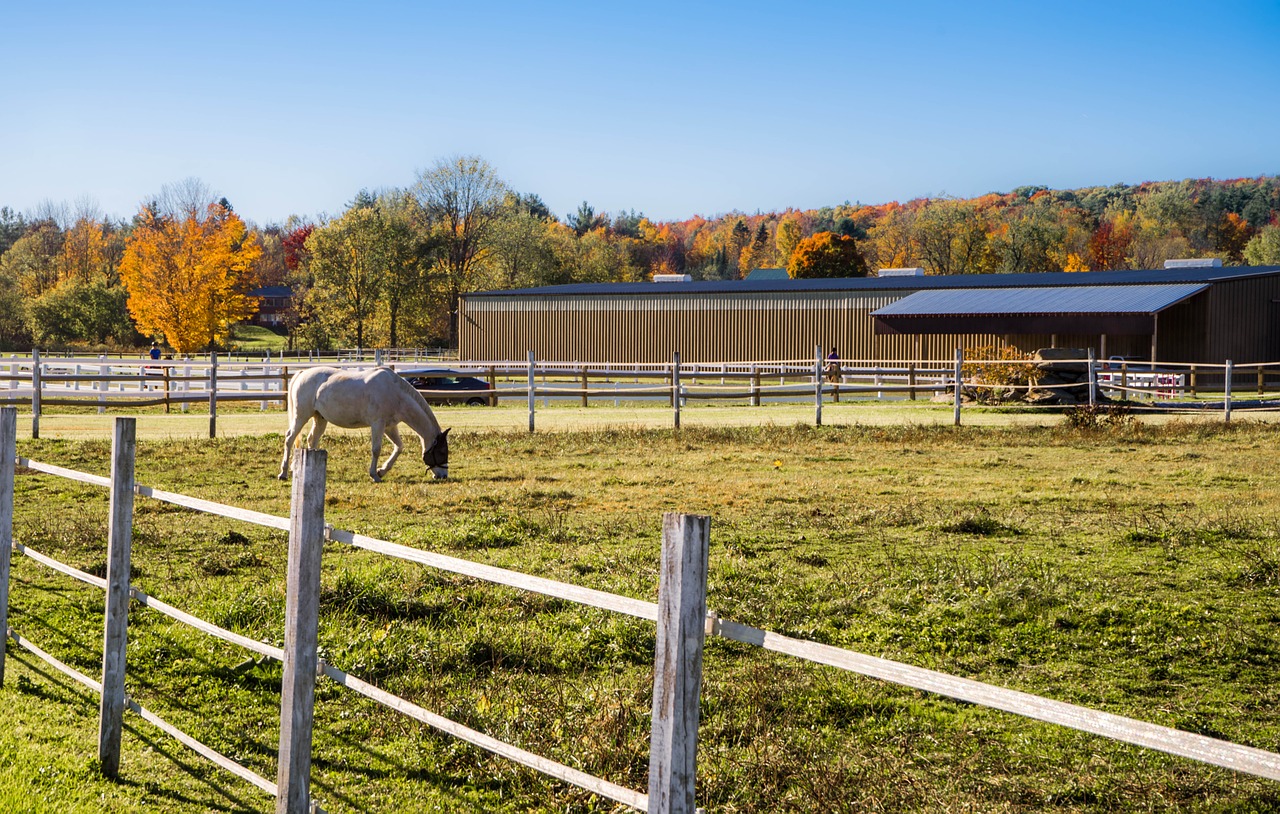 foliage vermont fence free photo