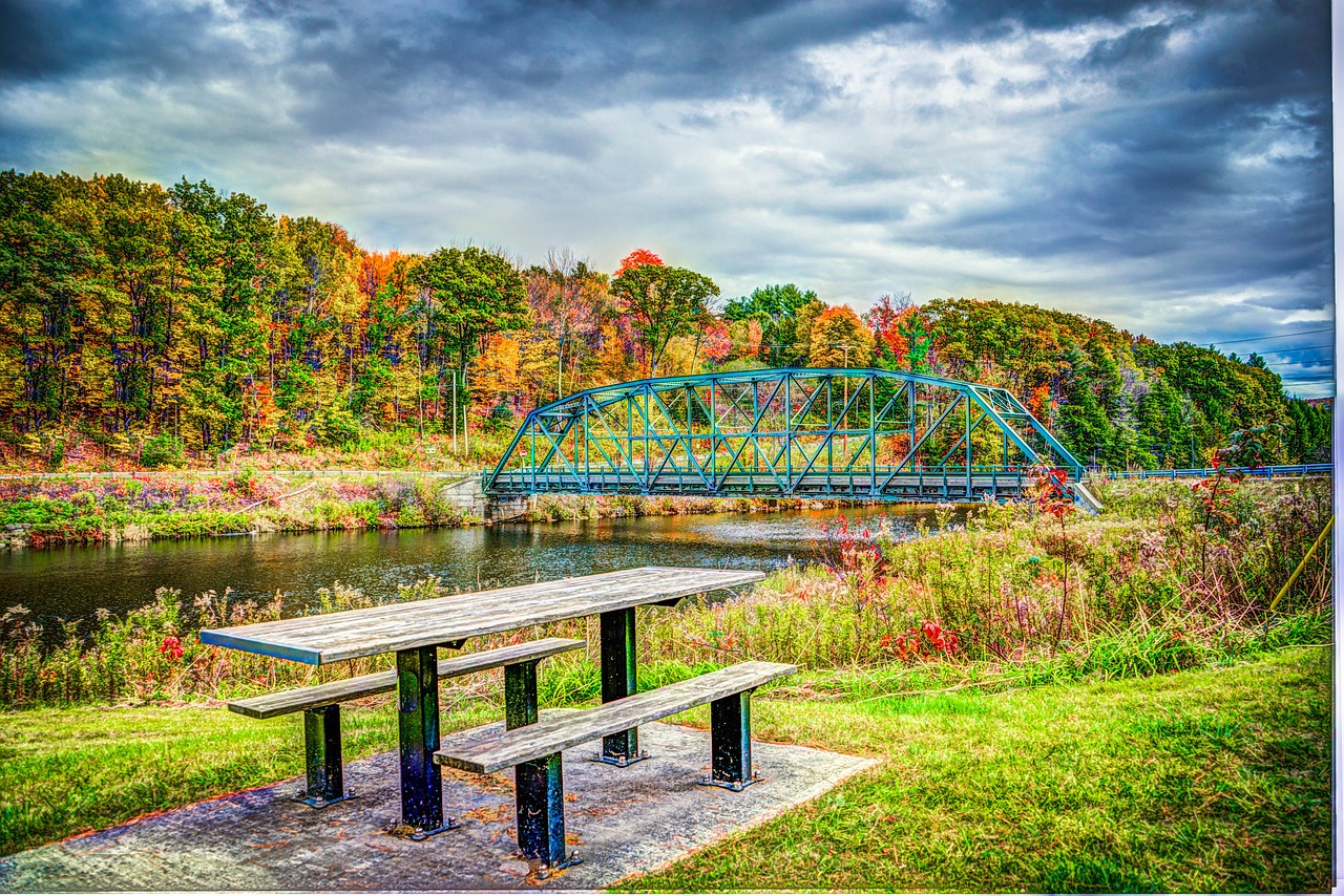 foliage bridge fall free photo