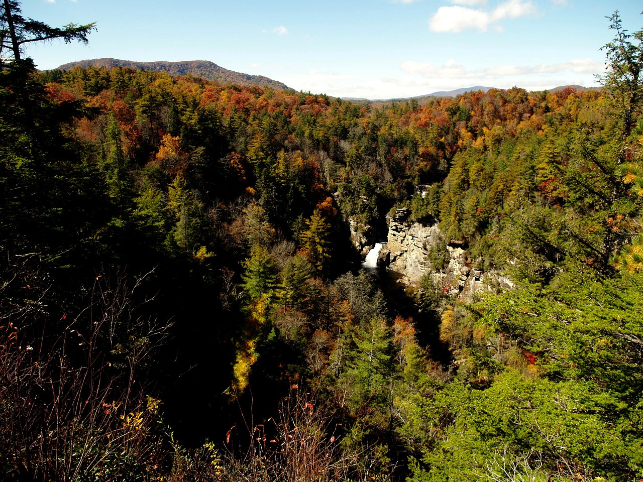 foliage autumn lynn falls free photo