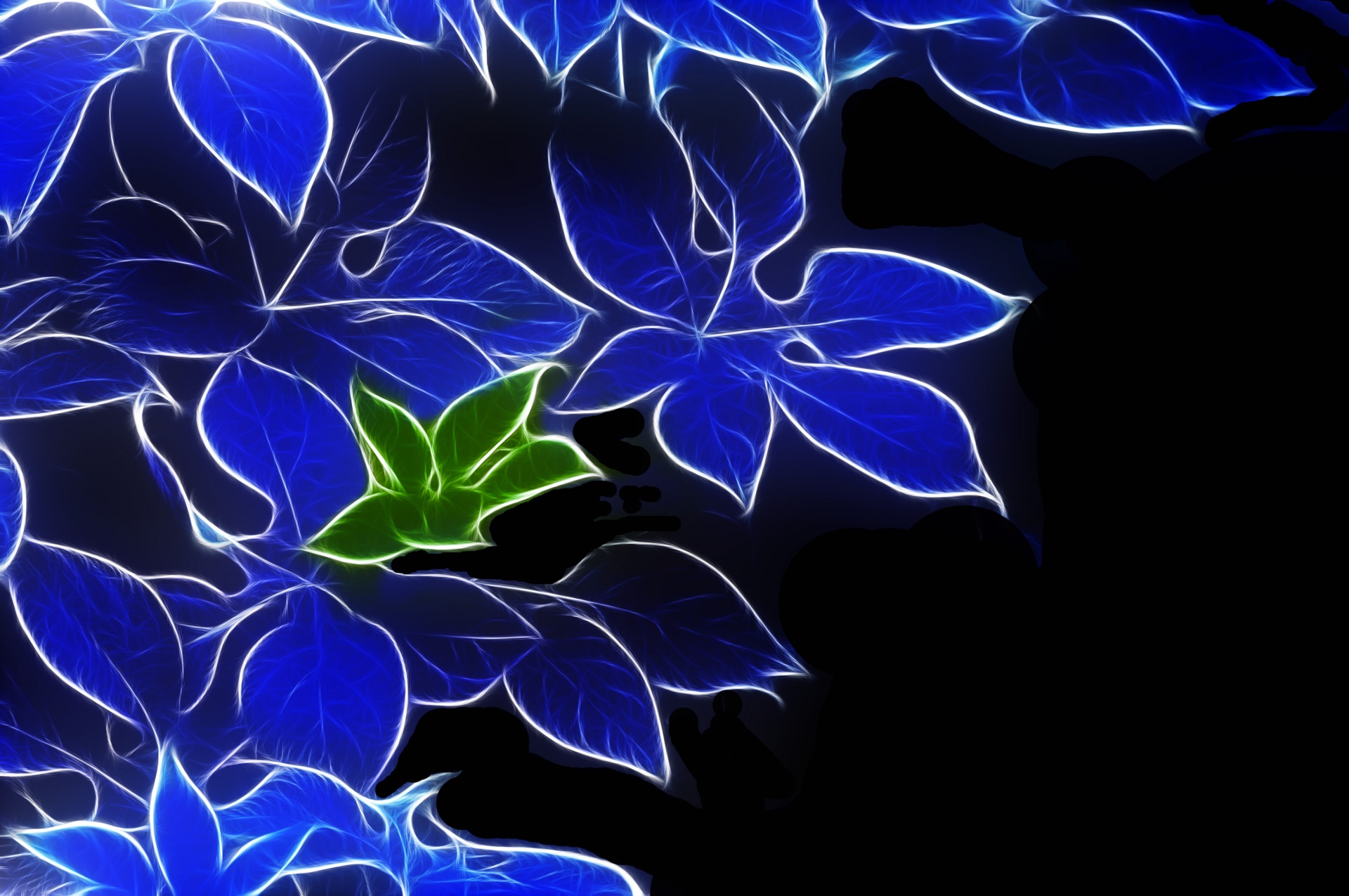 foliage leaves blue free photo