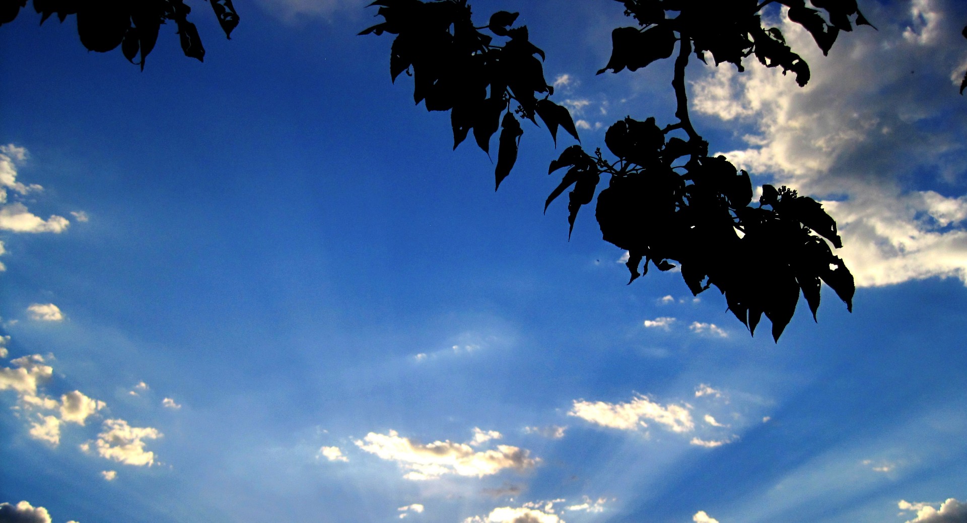 sky very blue clouds free photo