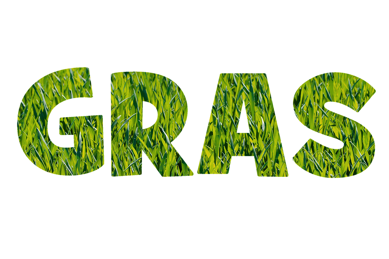 font grass texture free photo