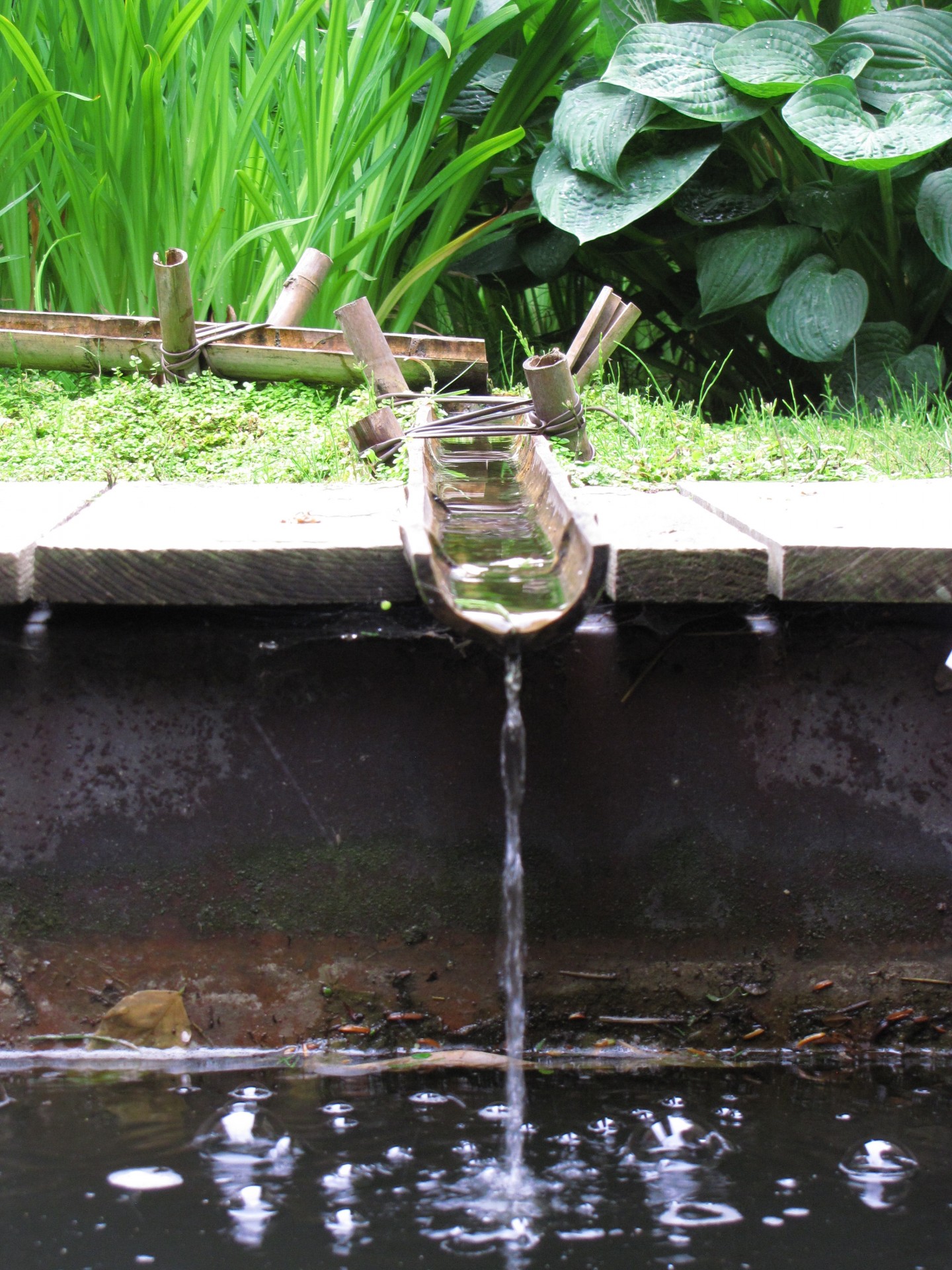 fountain japan asia free photo