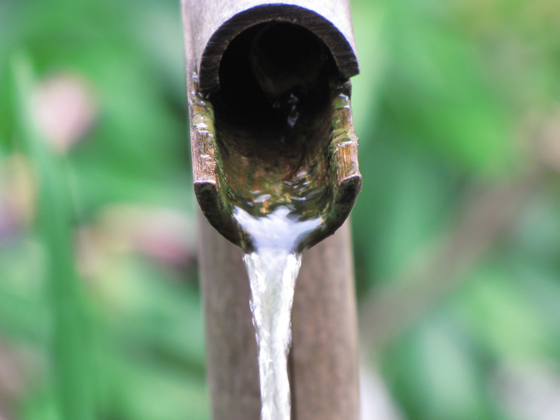 fountain japan water free photo