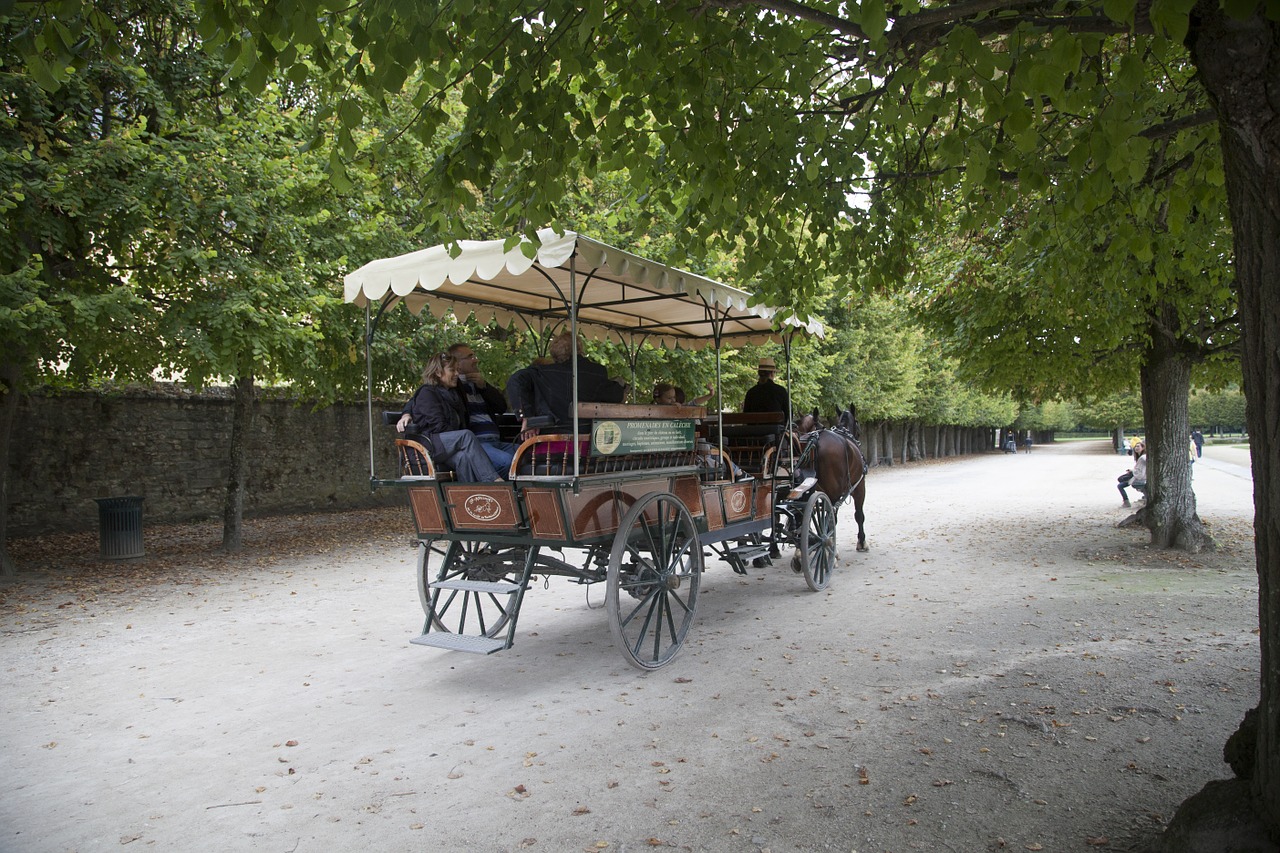 fontainebleau carriage ride free photo