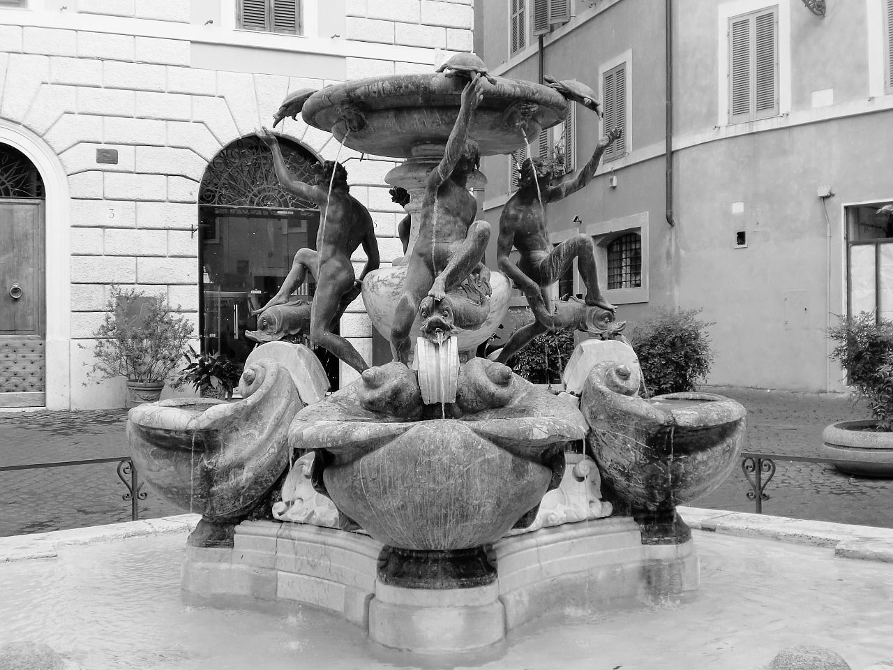 fontana tartarughe piazza mattei rome free photo
