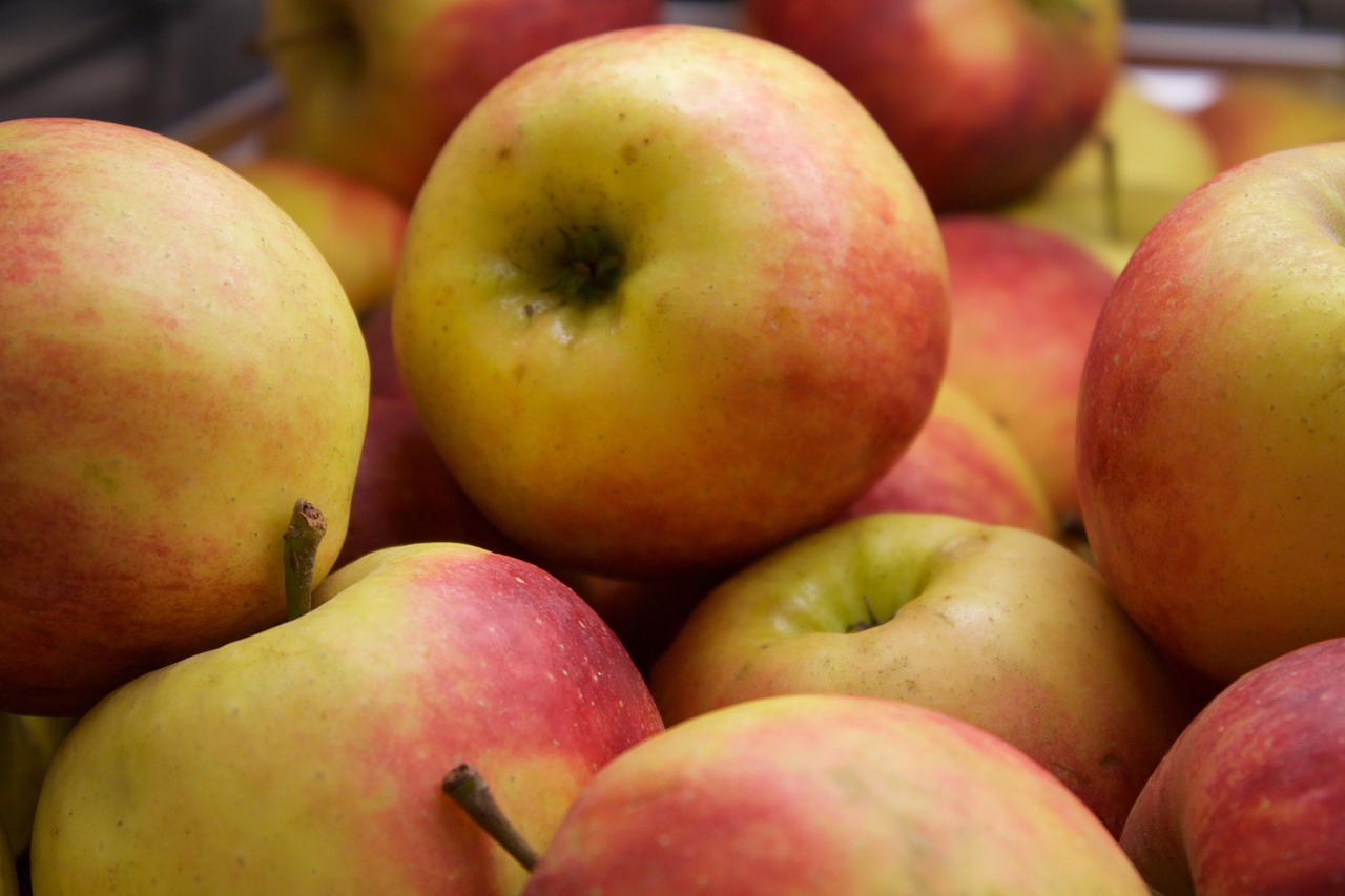 apple fruit food free photo