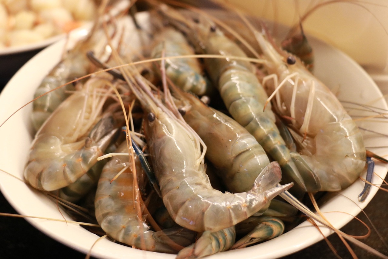 food seafood shrimp free photo