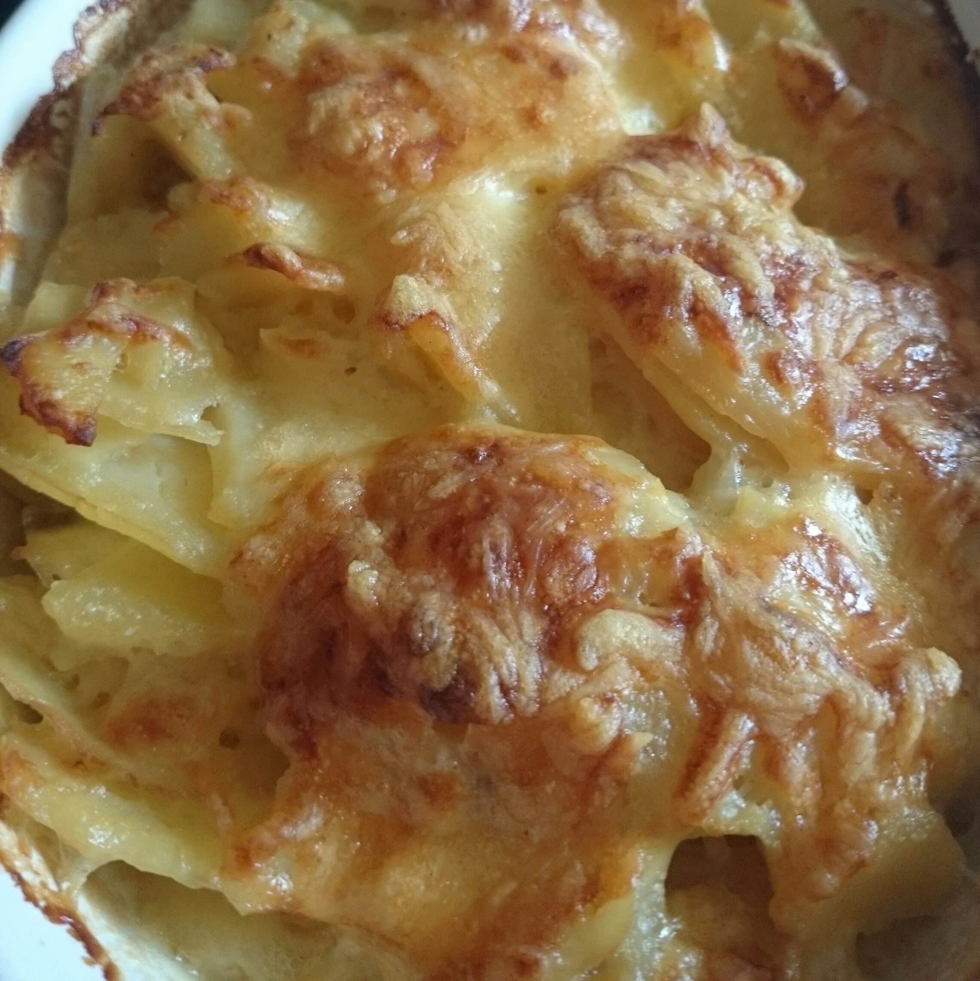 potato gratin cream free photo