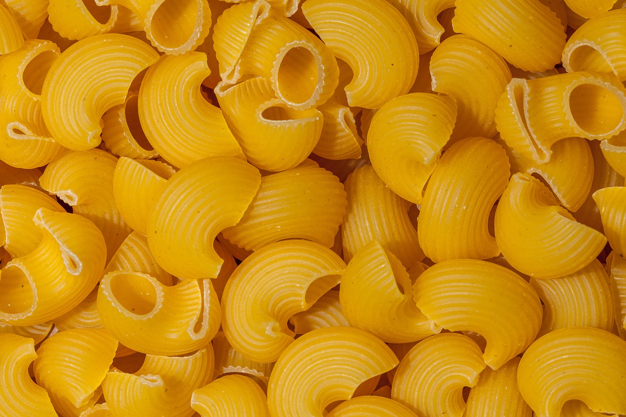 food pasta italian free photo