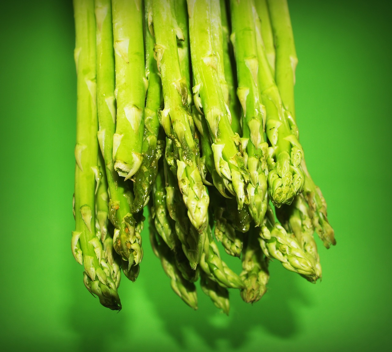 food asparagus gourmet free photo