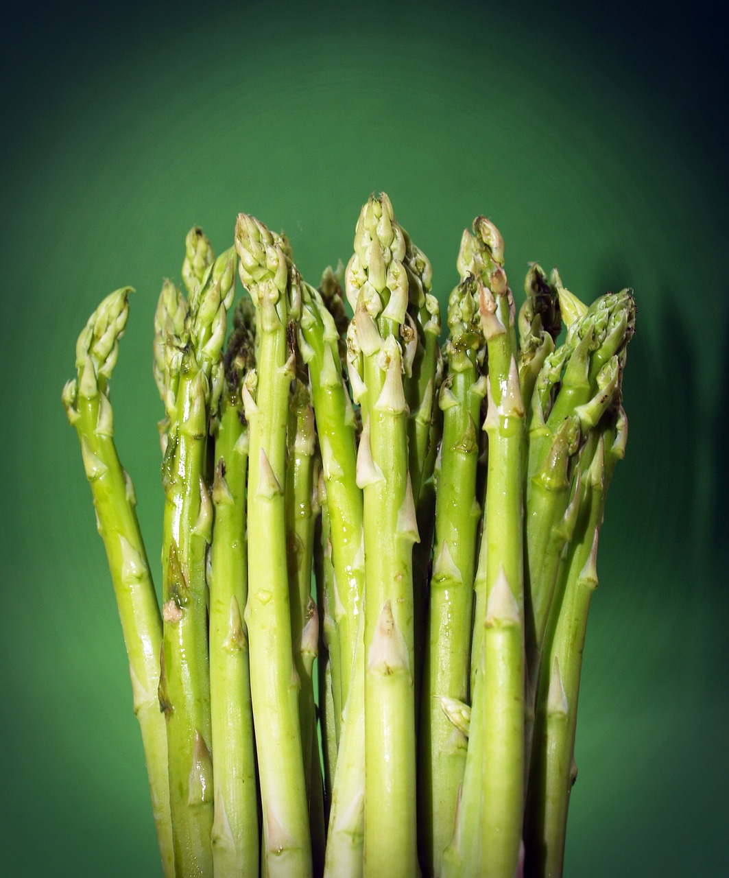 food asparagus gourmet free photo
